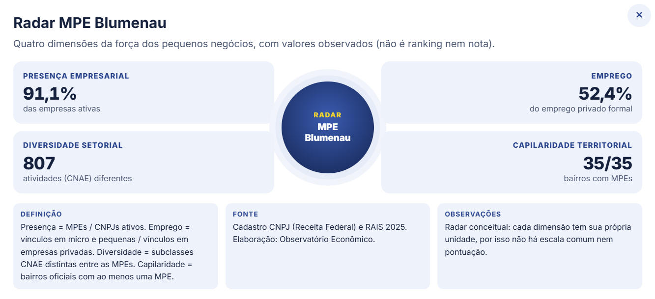 Tamanho das empresas de Blumenau - CDL Blumenau