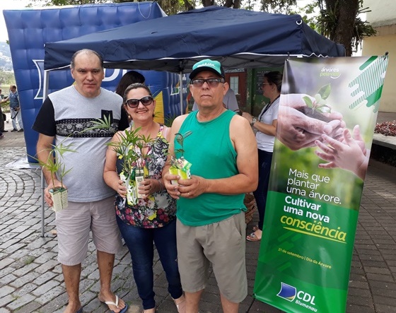 Os empresários do bairro Salto foram até o centro de Blumenau só para buscar mudas de árvores. 