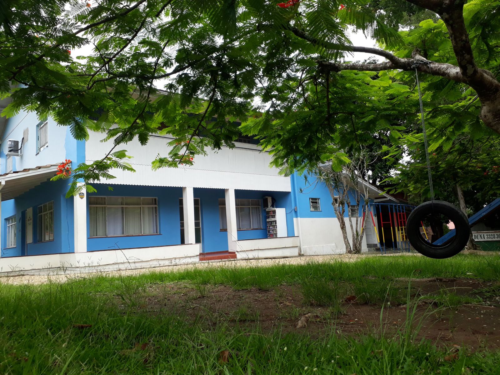 CDL Blumenau doa alimentos e brinquedos à ONG Puro Amor