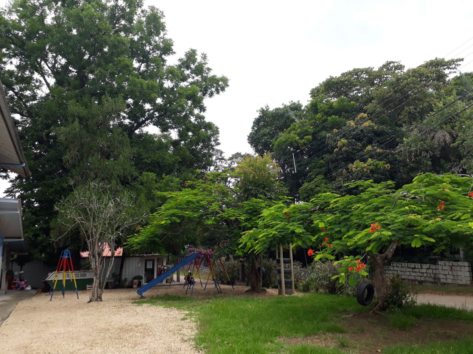 CDL Blumenau doa alimentos e brinquedos à ONG Puro Amor