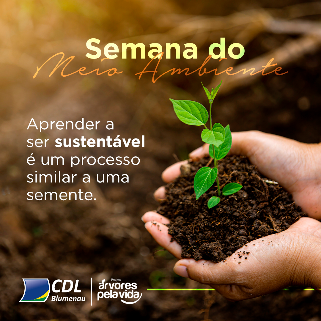 CDL Blumenau distribui mudas de árvores na Semana Mundial do Meio Ambiente